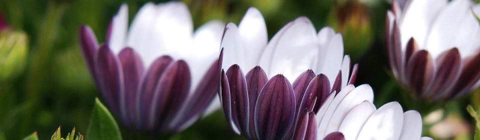 故障恢复的云呼试用3分钟