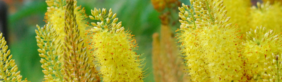 呼死你在线免费试用